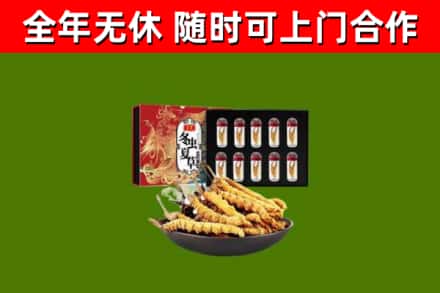 伊州区回收冬虫夏草价格